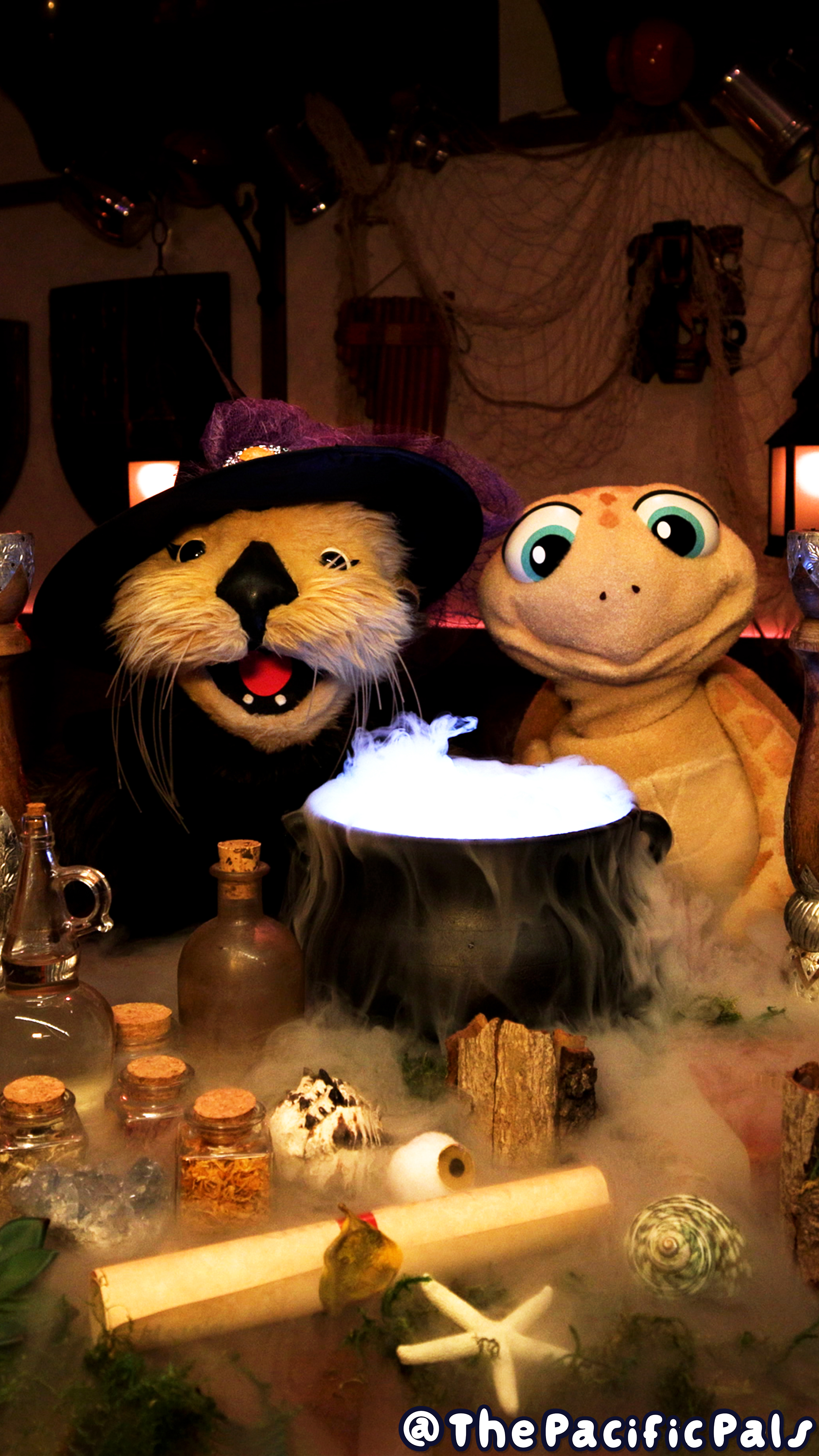 Witch Elsie Otter smiles as Pablo the Sea Turtle grimaces behind a table of potions.