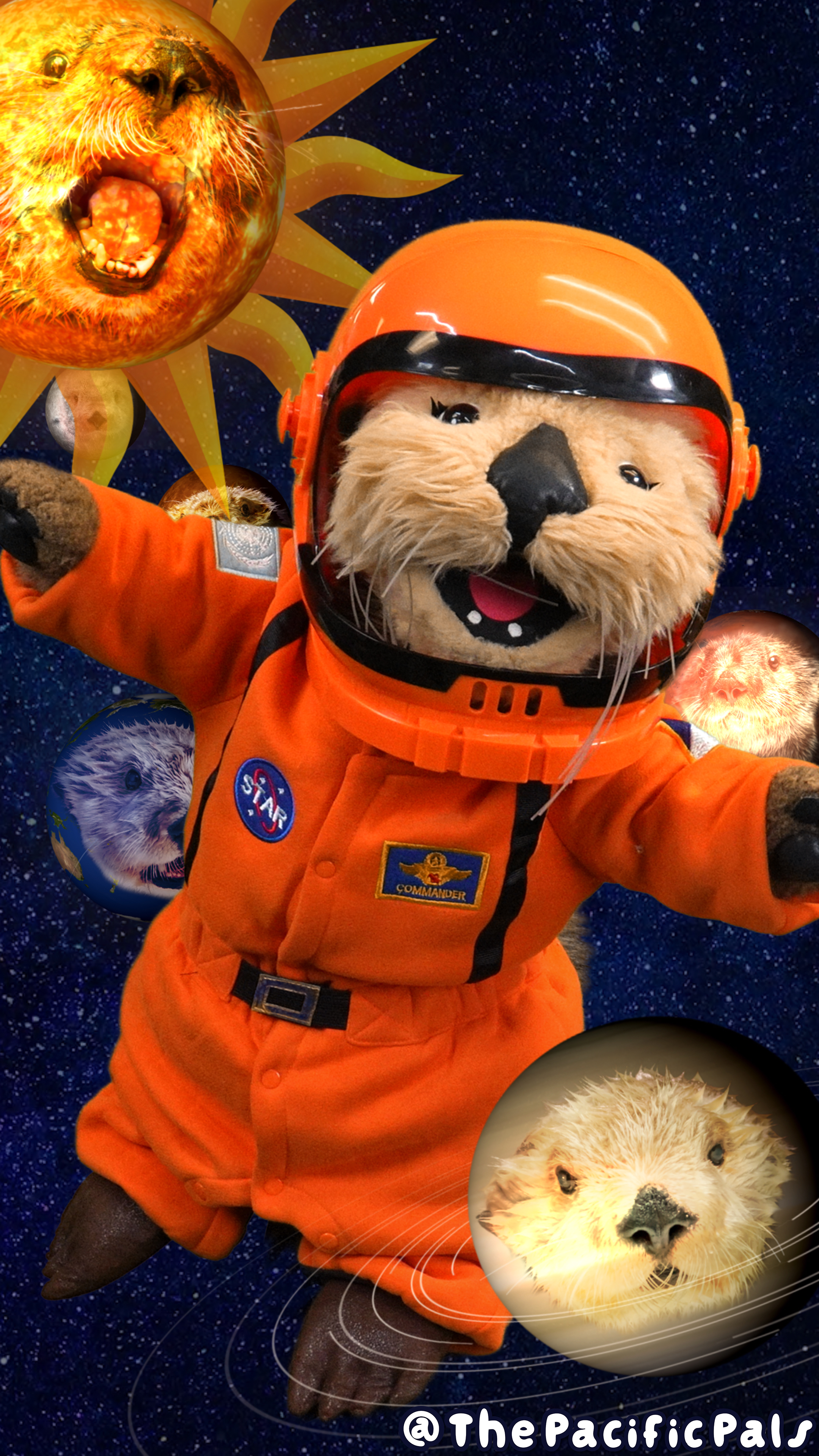 Astronaut Elsie Otter floats through space full of otter shaped planets.