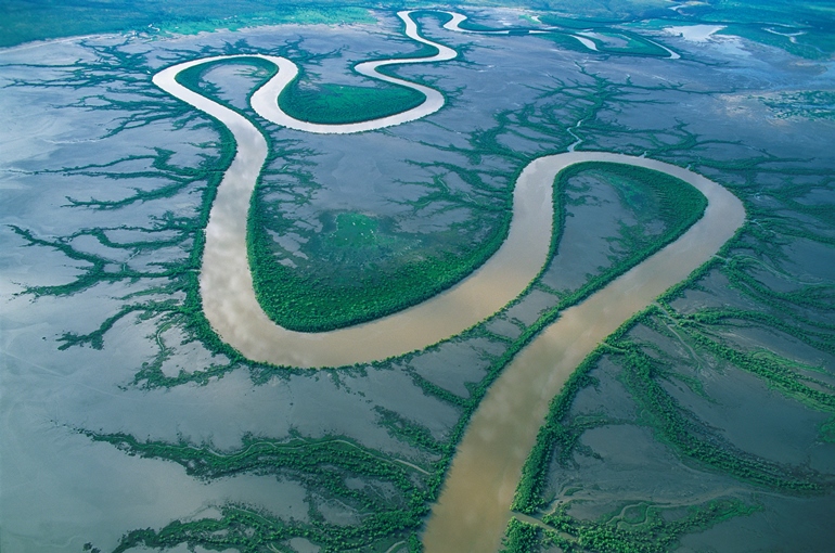 King River Snaking Through Mudflats