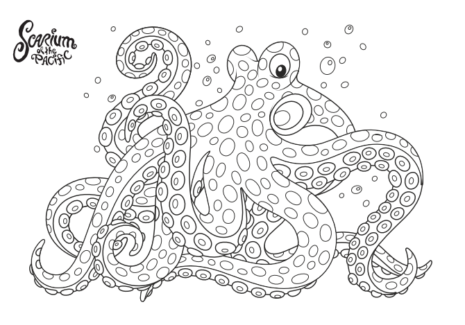 Octopus Scarium coloring contest preview