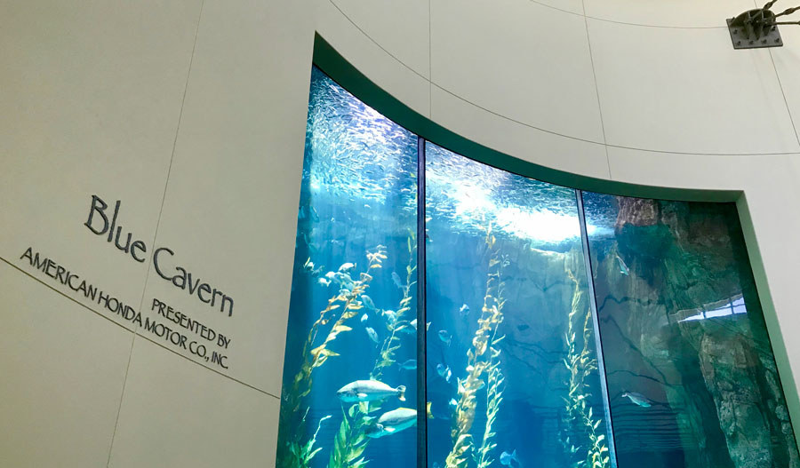 Showtimes | Aquarium of the Pacific