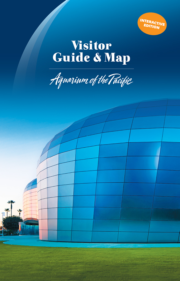 2019 Visitor Guide Cover Interactive Edition