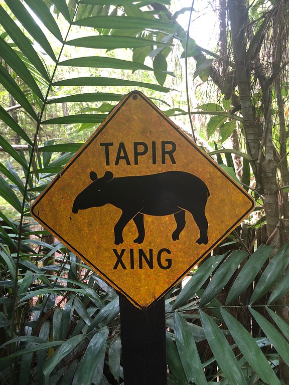 Tapir crossing sign