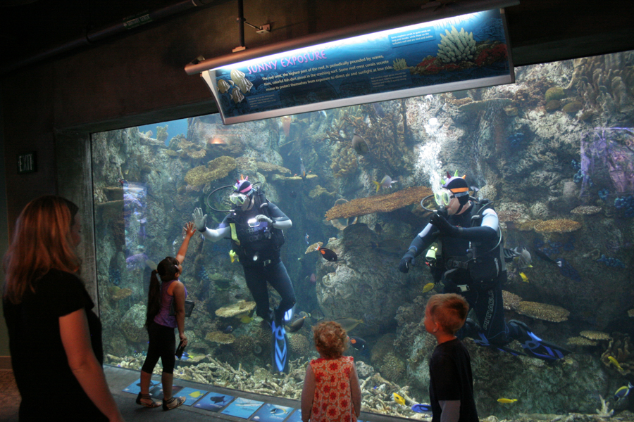 Divers in exhibit, high-fiving children