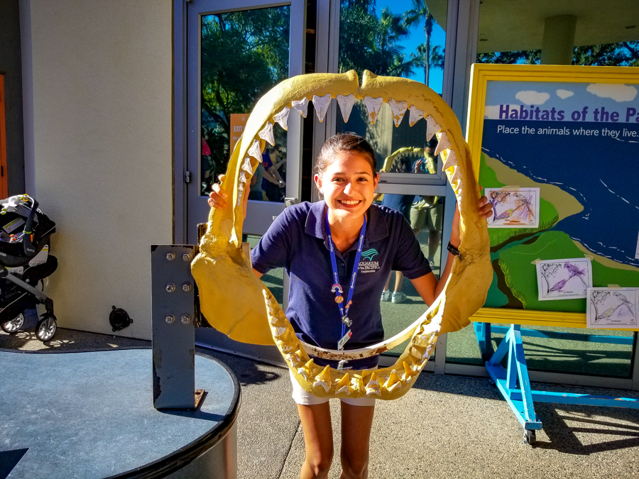 Smiling volunteer poses with a large shark jaw