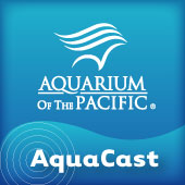 Aquarium of the Pacific AquaCast Podcast artwork